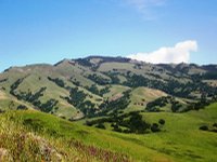 California Hills, San Francisco Bay Area, 04.2005, ---