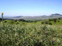 California Hills, San Francisco Bay Area, 04.2005, ---