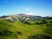 California Hills, San Francisco Bay Area, 04.2005, ---